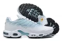 chaussure nike air max plus 2023 blue ice